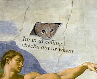 The History of LOLCats